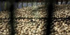 Lotería del Niño: Comprobar tus números, más fácil que nunca